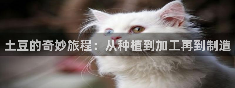 彩名堂客户端是永久免费吗是真的吗