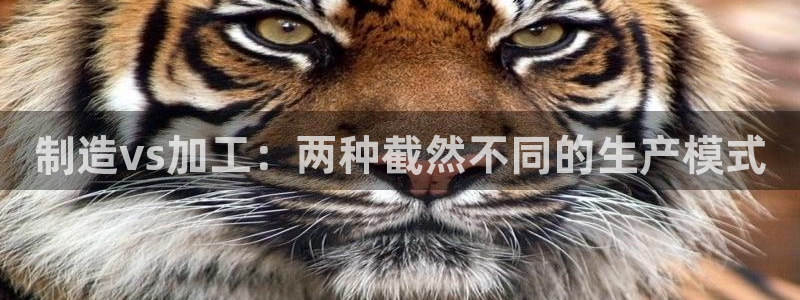 彩名堂最新预测3d