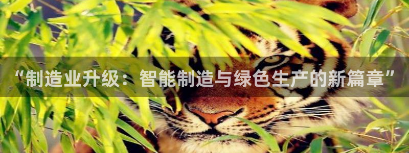 彩名堂计划怎么跟,为什么我一跟就挂