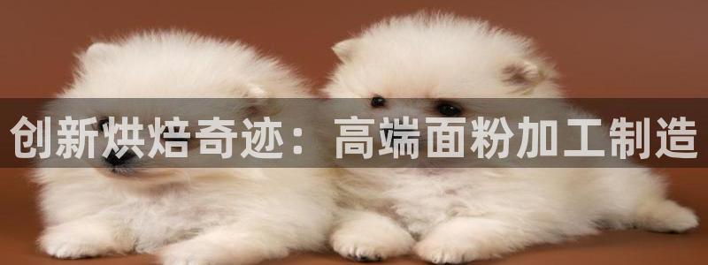 彩名堂免费计划5.0使用方法