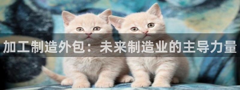 彩名堂免费计划官网50下载957