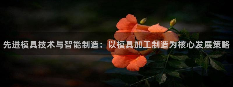 彩名堂网页
