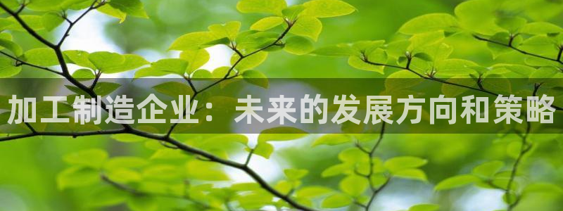 彩名堂50版本计划