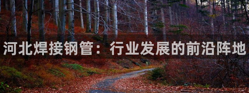 最新彩名堂计划