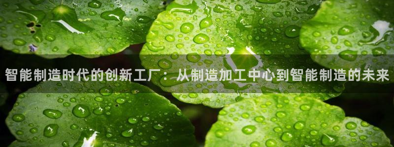 彩名堂官网计划客户端