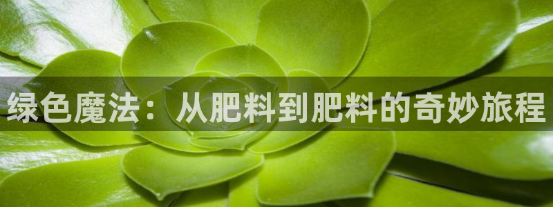 彩名堂3d