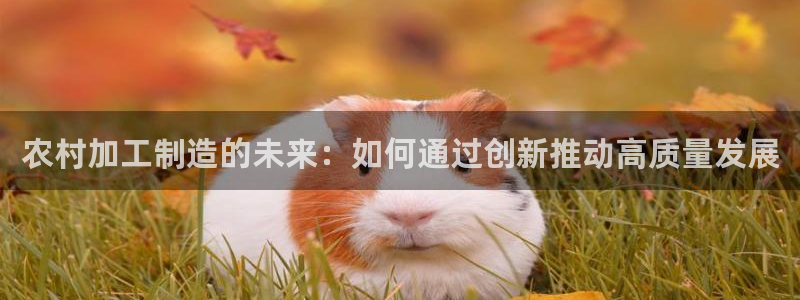 彩名堂免费计划官网50下载957