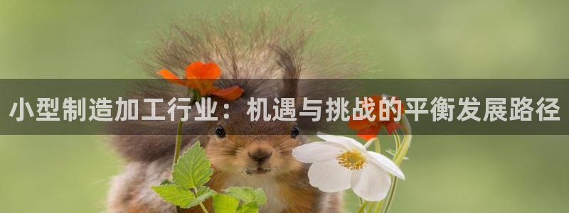 彩名堂官网计划