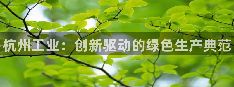 彩名堂彩