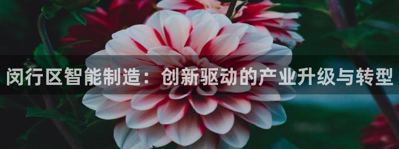 彩名堂5.0版计划怎么用不了