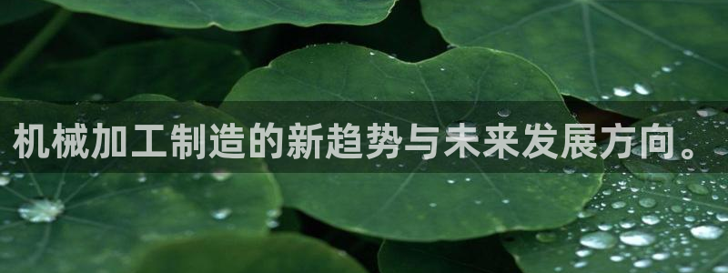 彩名堂一直不出结果怎么回事儿