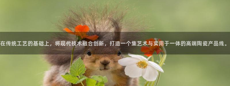 彩名堂怎么买准确率高一点