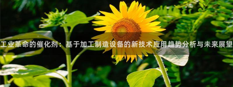 彩名堂计划软件下载
