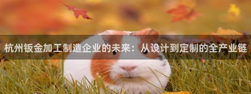 彩名堂免费计划使用方法是什么