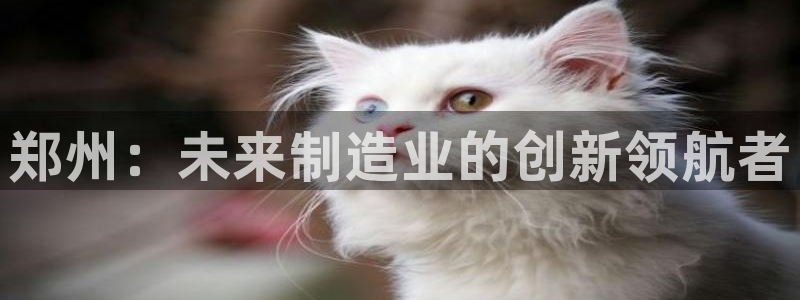 彩名堂客户端是永久免费吗是真的吗知乎