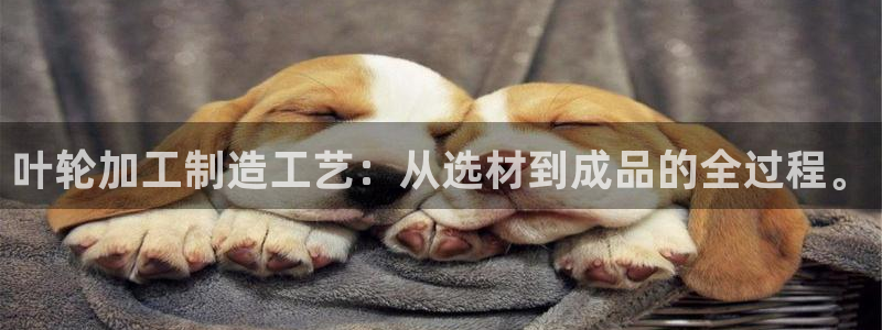 彩名堂官网计划怎么下载到手机