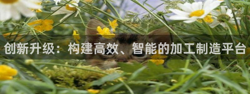 彩名堂为什么用不了了