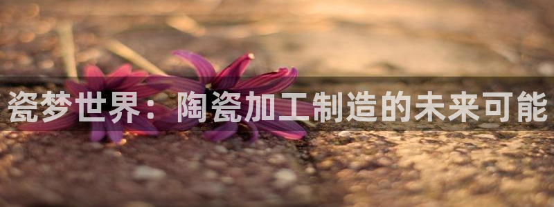 彩名堂app官方网