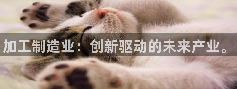 彩名堂人工计划客户端