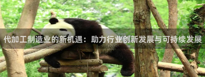 彩名堂一直不出结果怎么回事