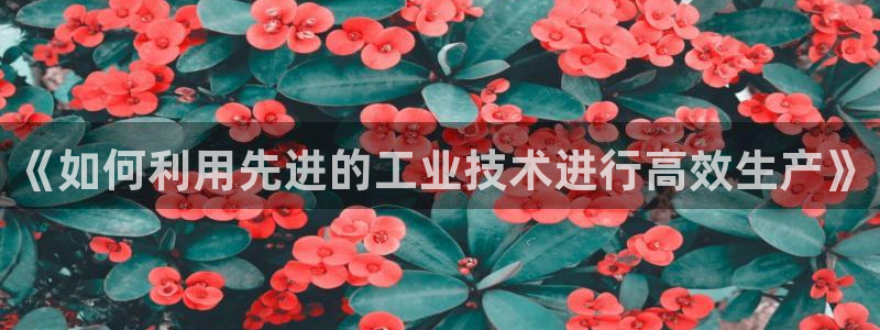 彩名堂预测网站