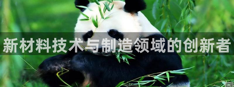 彩名堂app计划官方网站