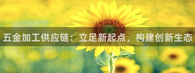 彩名堂官方平台