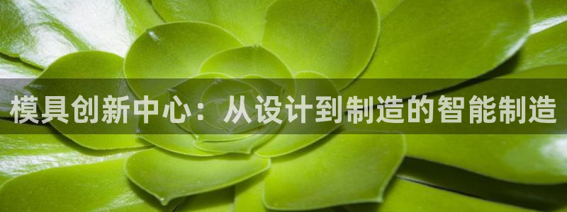 彩名堂好用还是千里马好用