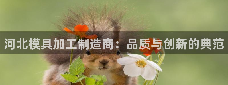 彩名堂客户端是永久免费吗是真的吗安全吗