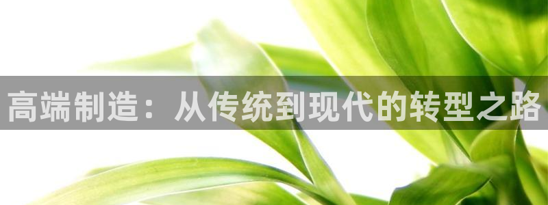彩名堂怎么不能用了