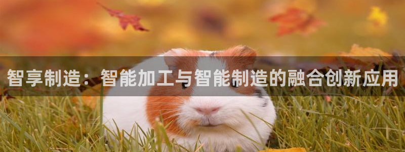 彩名堂平台