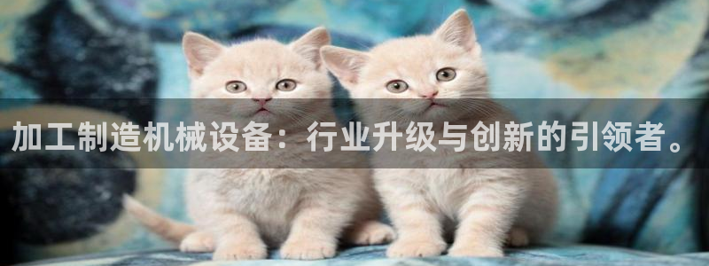 老版本彩名堂计划软件
