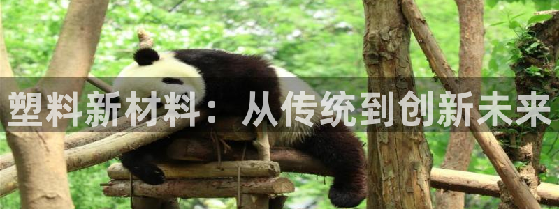 彩名堂客户端加拿大