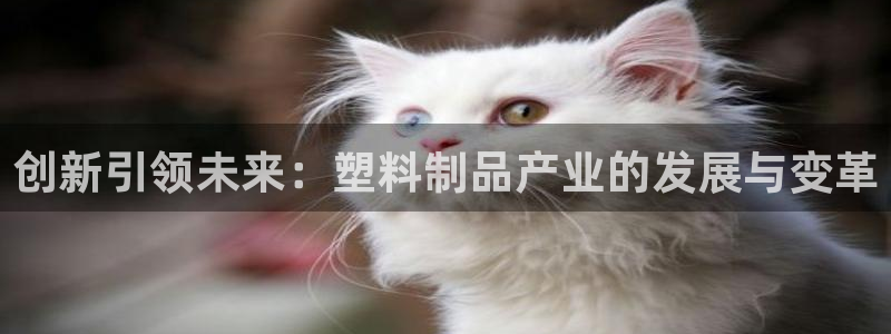 彩名堂.apk