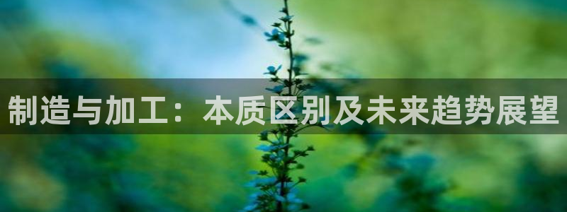 彩名堂计划怎么看