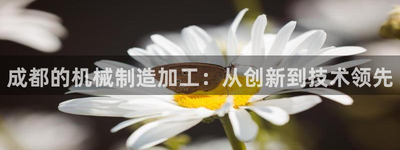 彩名堂计划技巧有哪些