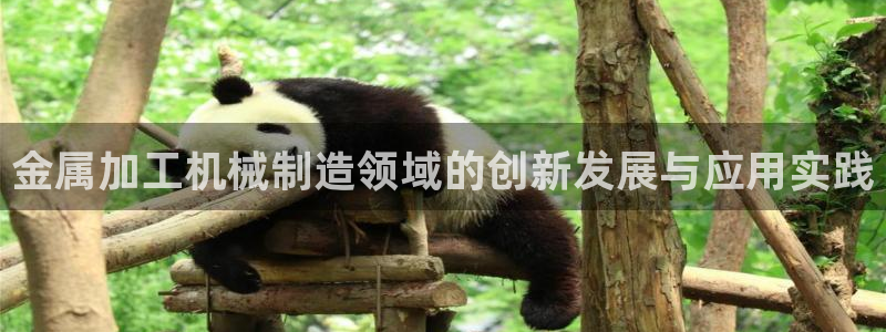 彩名堂最新版www