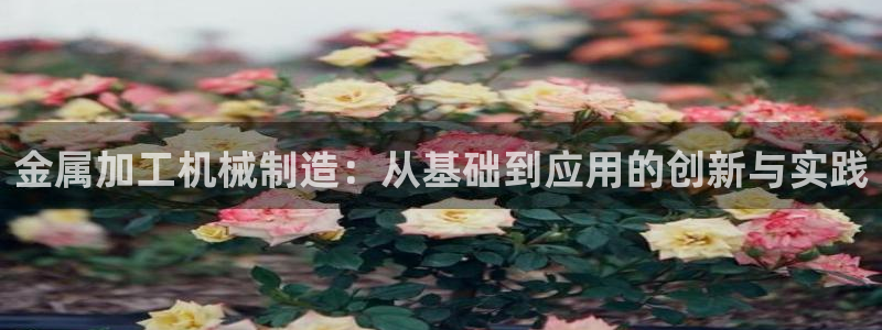彩名堂预测官网