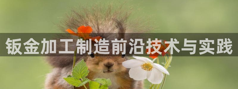 彩名堂为啥不准了乱变