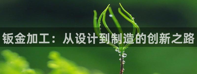 彩名堂合作655560