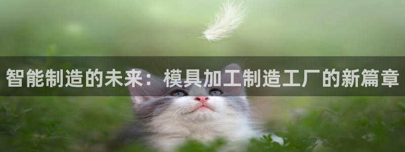 彩名堂官网计划客户端