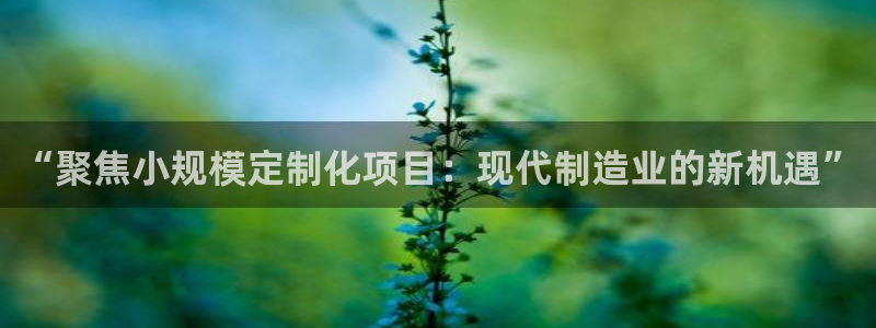 彩名堂官网计划怎么下载到手机