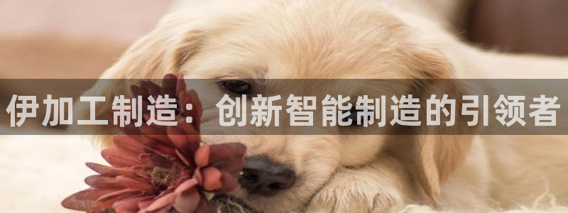 彩名堂免费计划官网老版本