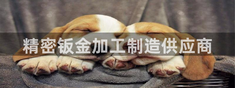 彩名堂怎么用不输