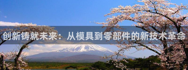 老版本彩名堂计划软件