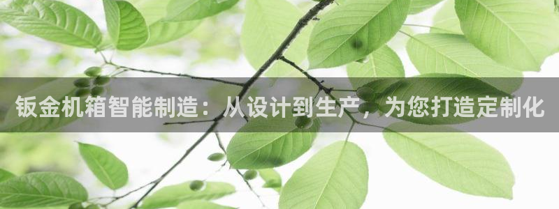 彩名堂预测软件与分析软件区别