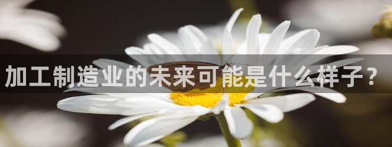 彩名堂免费计划软件下载