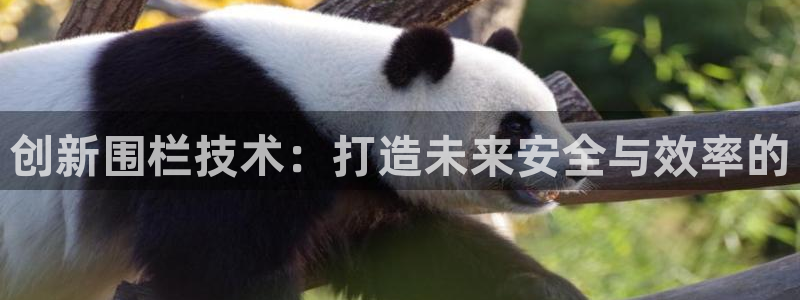 彩名堂计划最新版手机版