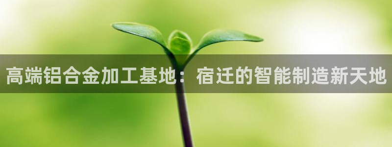 彩名堂客服电话号码