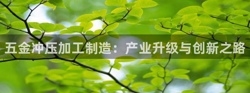 彩名堂苹果客户端